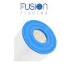 Filtre cartouche PC120 SwimClear C-5520